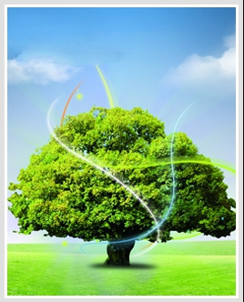 af03a68098431408350de5f5fade7316.png